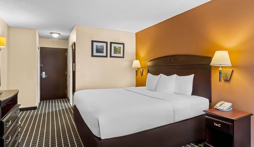 Standard Room, 1 King Bed, Non Smoking