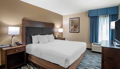 Suite, 1 King Bed with Sofa bed, Accessible, Non Smoking