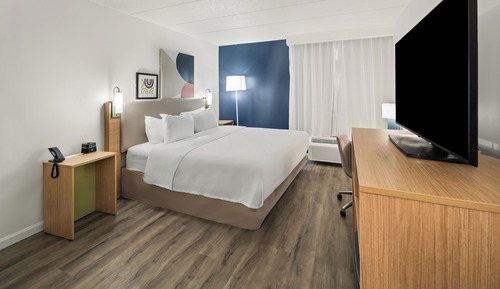 Room, 1 King Bed