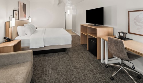 Room, 1 King Bed with Sofa bed