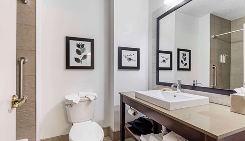 Suite, 1 Bedroom, Non Smoking (Pet Friendly)