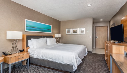 Standard Room, 1 King Bed, Accessible (Communications)