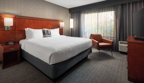 Suite, 1 King Bed with Sofa bed