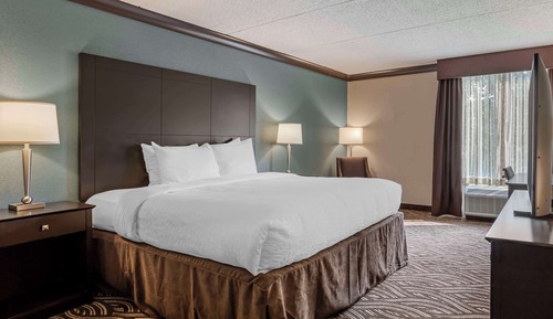 Standard Room, 1 King Bed, Refrigerator & Microwave, Courtyard Area (with Sofabed)