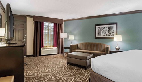Suite, 1 King Bed, Non Smoking, Refrigerator & Microwave (with Sofabed)