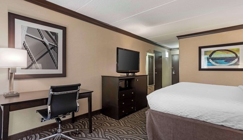 Standard Room, 1 King Bed, Non Smoking, Refrigerator & Microwave (with Sofabed)