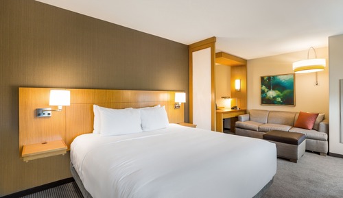 Classic Room, 1 King Bed with Sofa bed