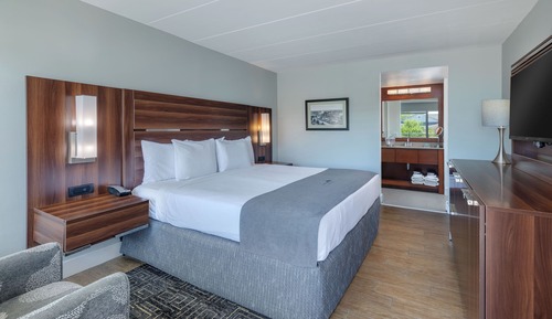 Standard Single Room, 1 King Bed