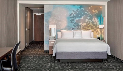 Room, 1 King Bed with Sofa bed