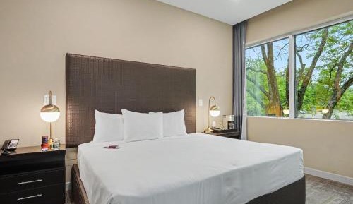 Deluxe Queen Room - Non-Smoking