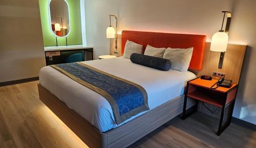 Junior Suite