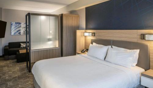 King Suite with Sofa Bed 