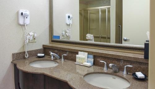 One-Bedroom King Suite with Whirlpool - Non-Smoking 