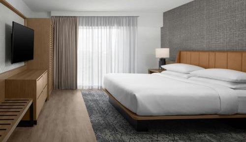 Suite, 1 King, Sofa bed