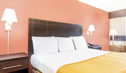 Queen Room with Roll-In Shower - Mobility Access/Non-Smoking