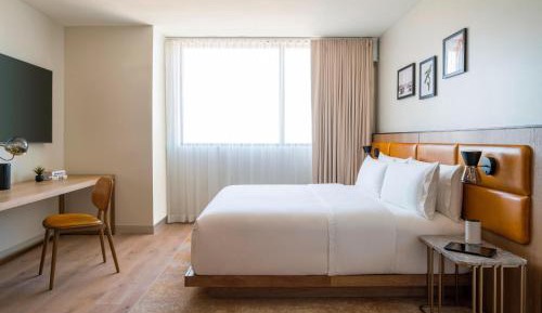 One Bedroom Junior City Suite One King with Sofa Bed