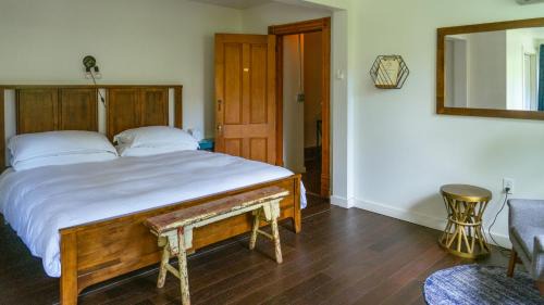 King Room with Roll-In Shower - Disability Access