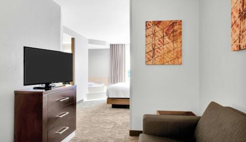 Larger King Suite with Dining Area and Sofa Bed