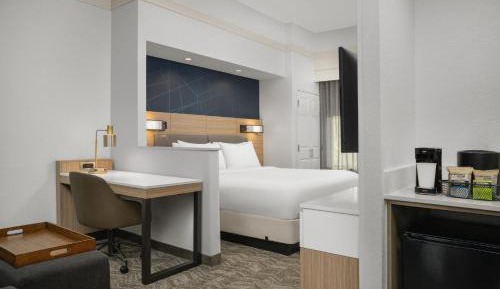 King Suite with Roll-In Shower and Trundle Sofa - Mobility Access