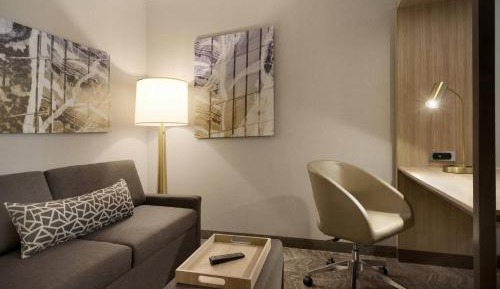 King Suite with Trundle Sofa - Hearing Accessible
