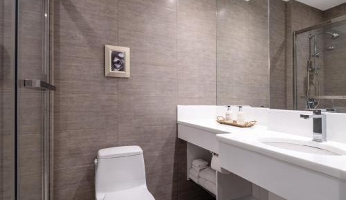 Standard King Room with Skylight