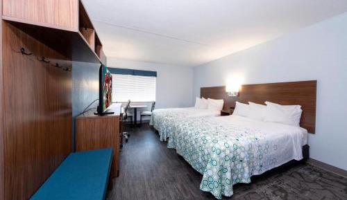 Studio Room with Two Double Beds Smoke Free