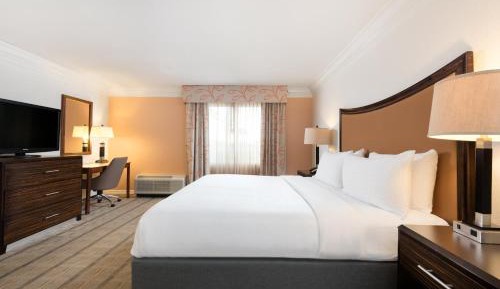Premium King Room